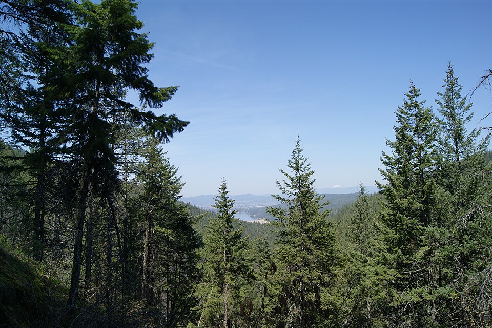 Liberty Lake from the Liberty Lake Loop trail